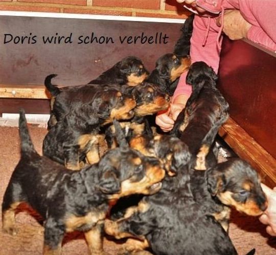 R-Wurf